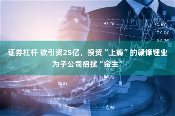 证券杠杆 欲引资25亿，投资“上瘾”的赣锋锂业为子公司招揽“金主”