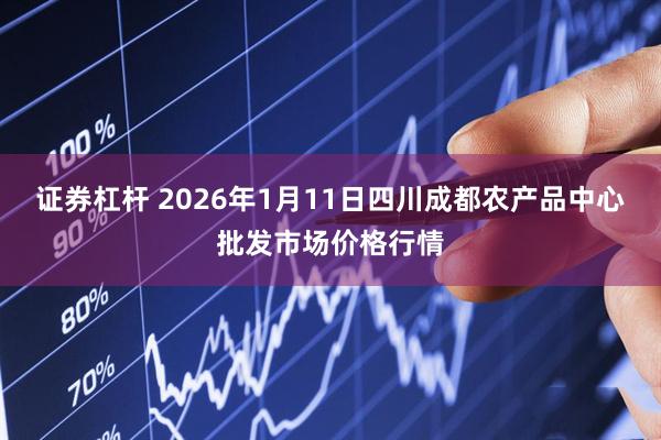 证券杠杆 2026年1月11日四川成都农产品中心批发市场价格行情