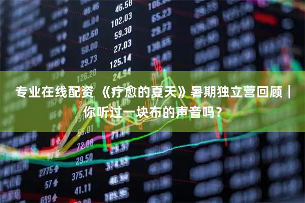 专业在线配资 《疗愈的夏天》暑期独立营回顾｜你听过一块布的声音吗？